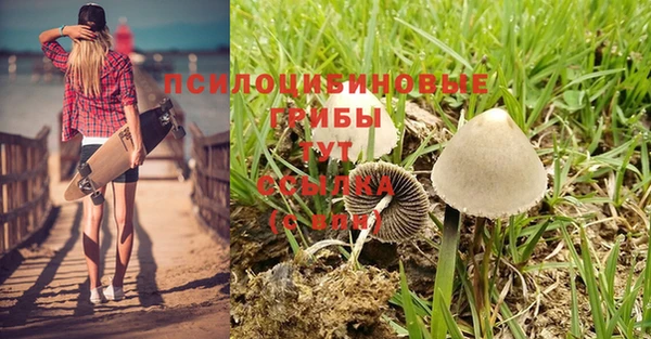 меф Белокуриха