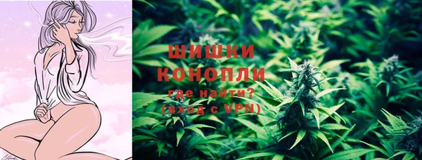 прущие грибы Семёнов
